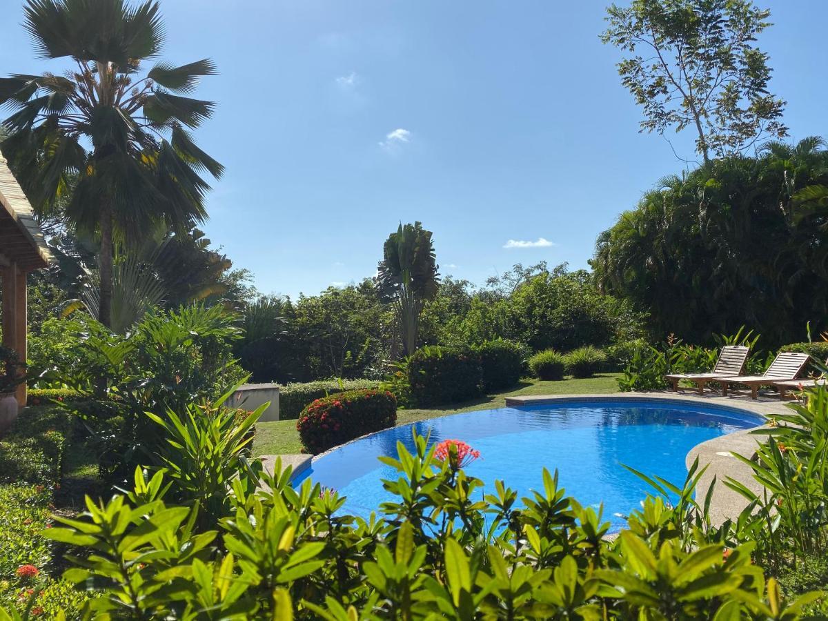 אסטריוס אסטה Palm Coast Luxury Rentals מראה חיצוני תמונה